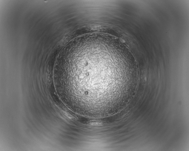 X0000078010653200611101822
