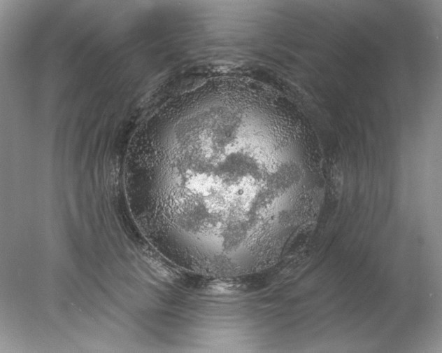 X0000078010657200611101822