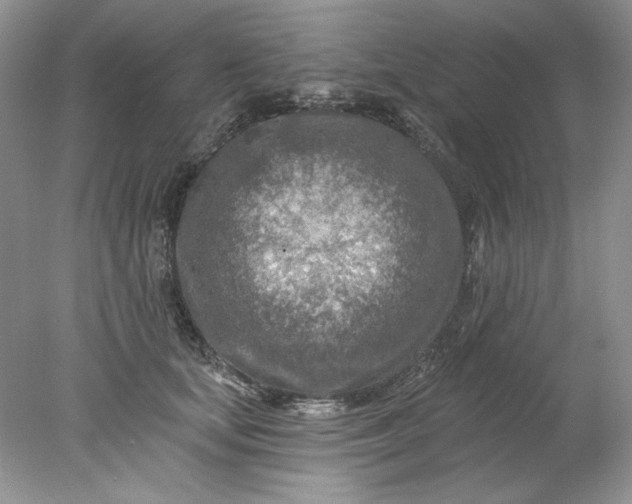X0000078010659200611101822