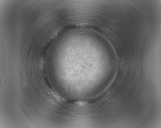 X0000078010660200611101822