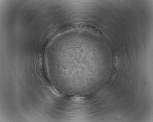 X0000078010664200611101822