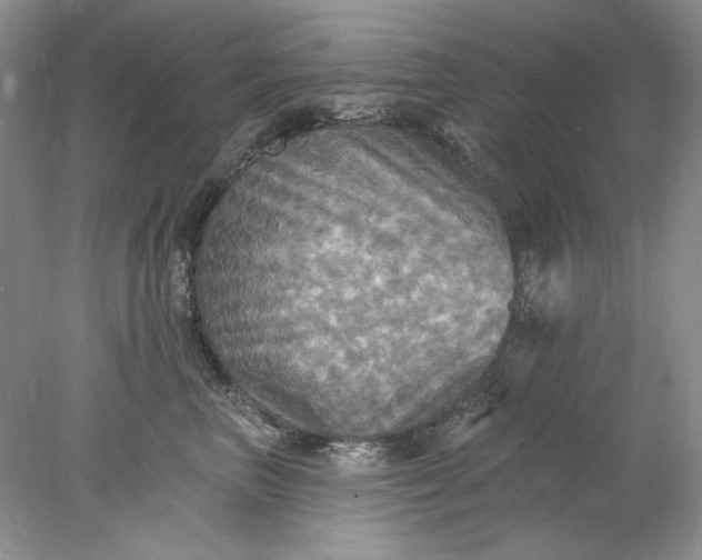 X0000078010667200611101822