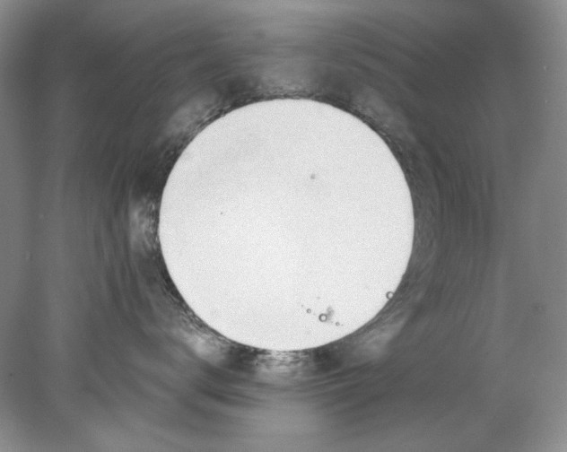 X0000078010672200611101822