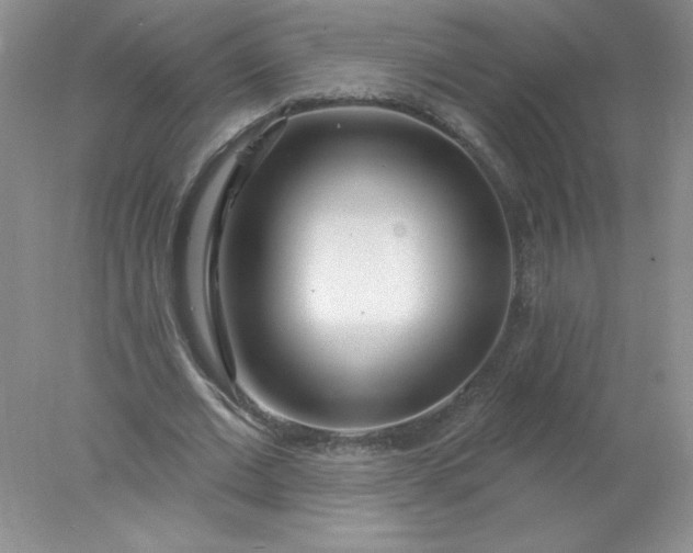 X0000078010677200611101821