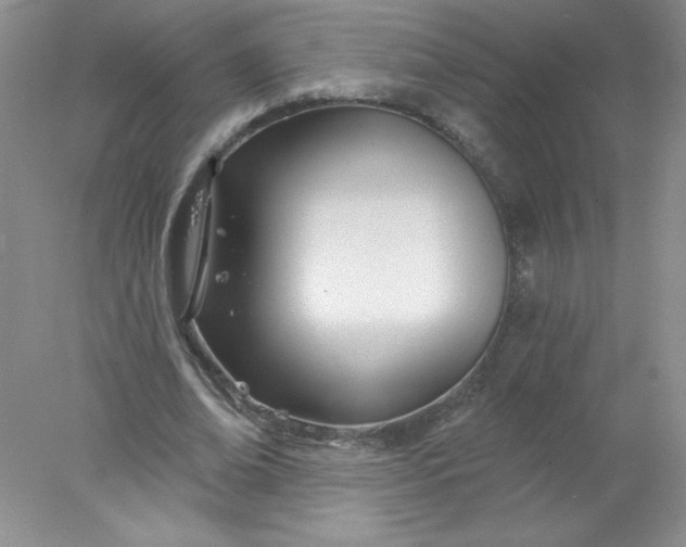 X0000078010678200611101821