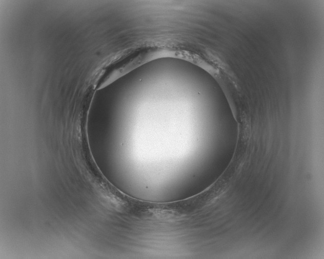X0000078010681200611101821