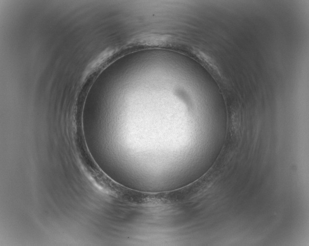 X0000078010682200611101821