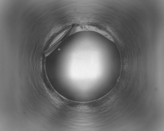 X0000078010685200611101821
