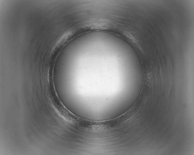 X0000078010686200611101821
