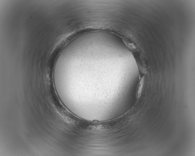 X0000078010688200611101821