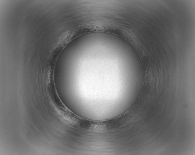 X0000078010694200611101821