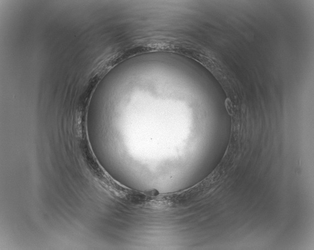 X0000078010696200611101821