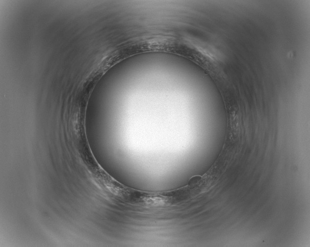 X0000078010698200611101821