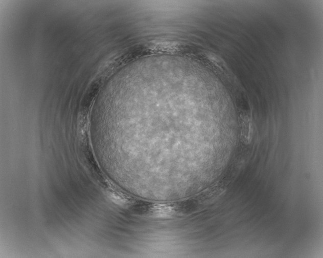 X0000078010701200611101821