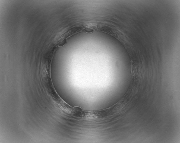 X0000078010702200611101821