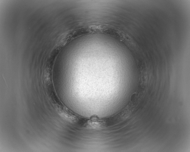 X0000078010706200611101821