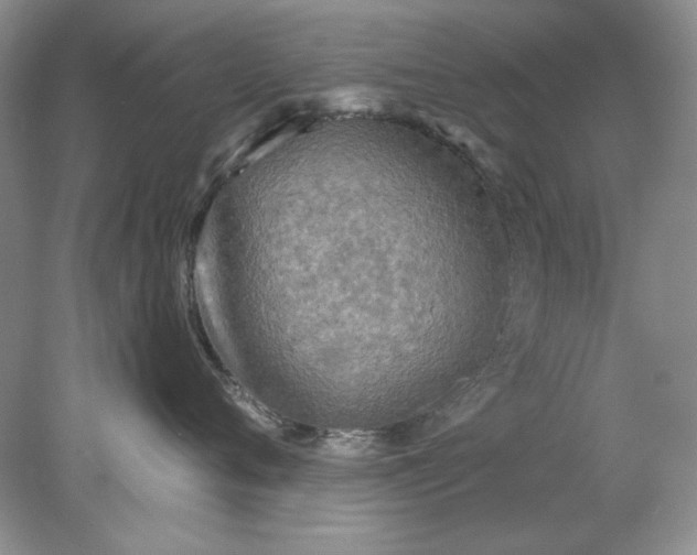 X0000078010720200611101821