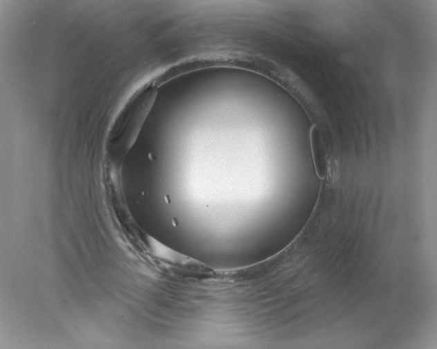 X0000078010724200611101820