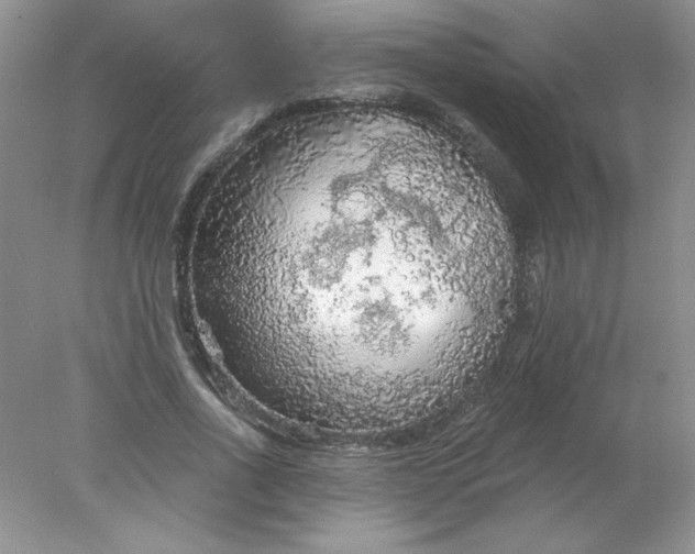 X0000078010734200611101820