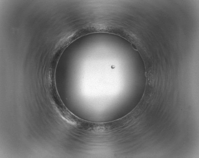 X0000078010740200611101820