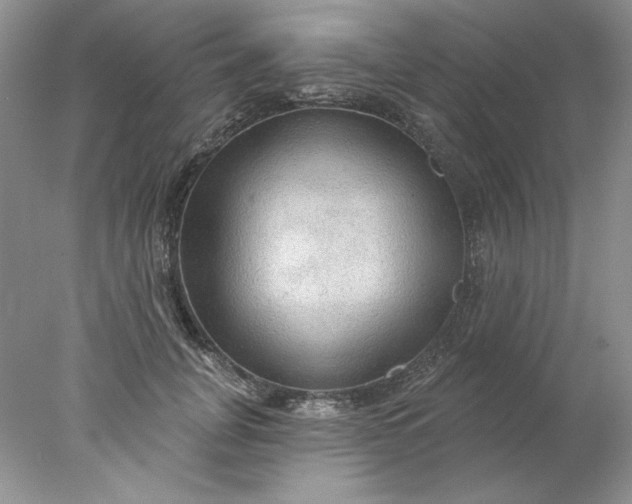X0000078010751200611101820