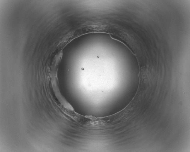 X0000078010752200611101820