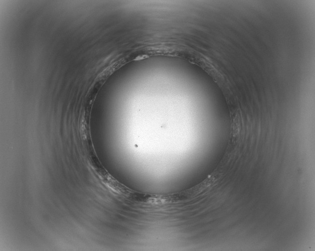 X0000078010764200611101821