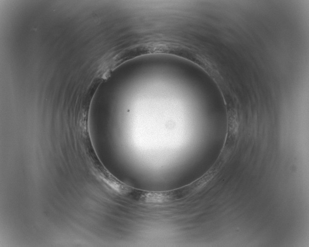 X0000078010766200611101821