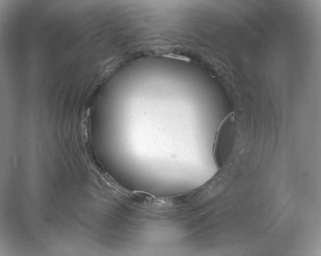 X0000078010768200611101821