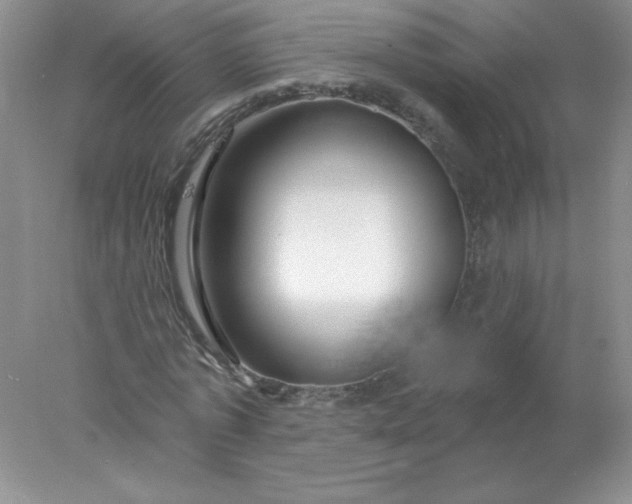 X0000078010773200611101820
