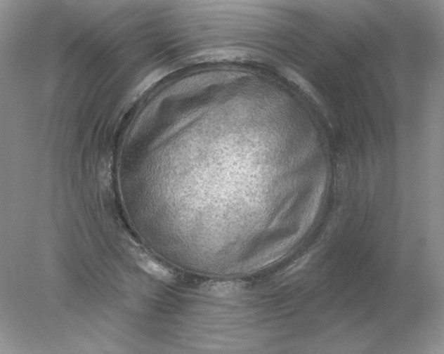 X0000078010778200611101820