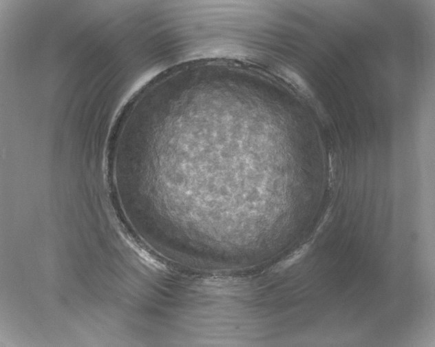 X0000078010780200611101820