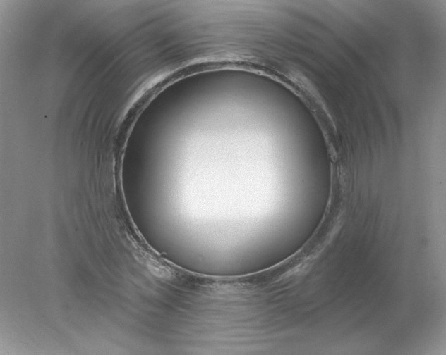 X0000078010781200611101820