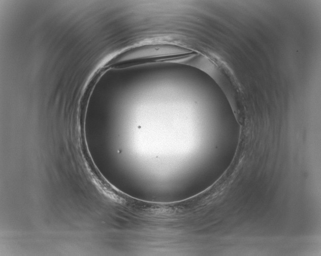 X0000078010792200611101819