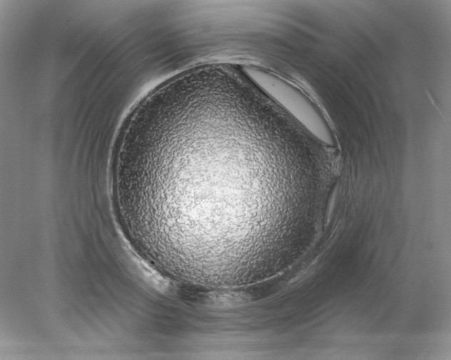 X0000078010795200611101819