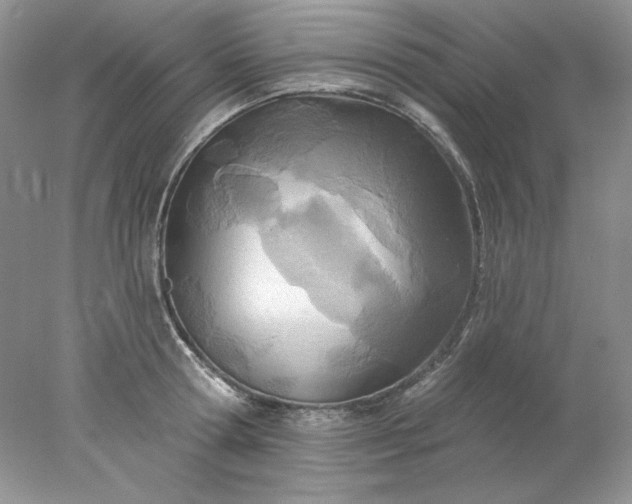 X0000078010802200611101819