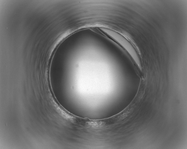 X0000078010805200611101819