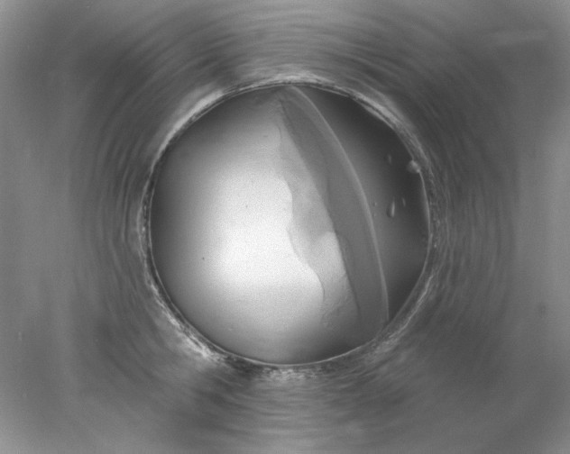 X0000078010806200611101819