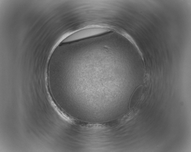 X0000078010811200611101819