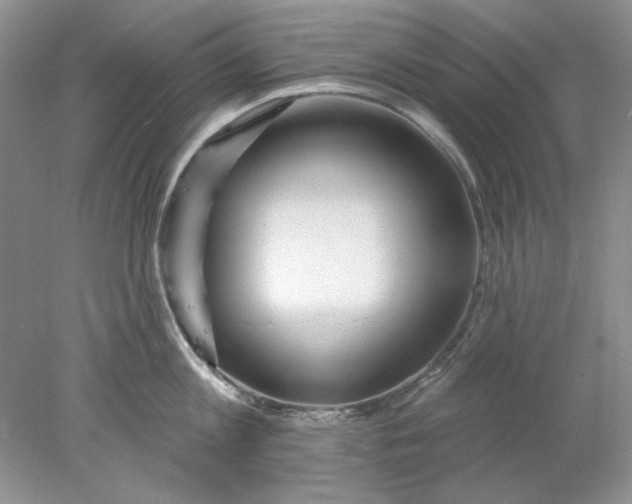 X0000078010813200611101819