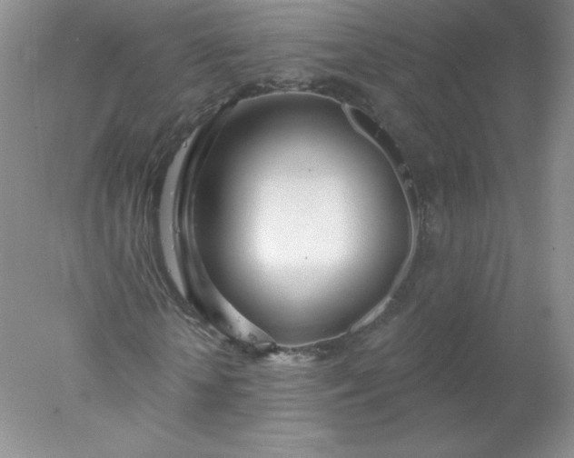 X0000078010818200611101818