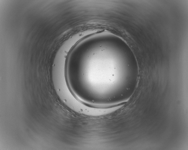 X0000078010821200611101818