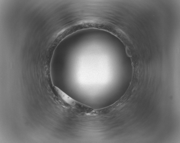X0000078010822200611101818