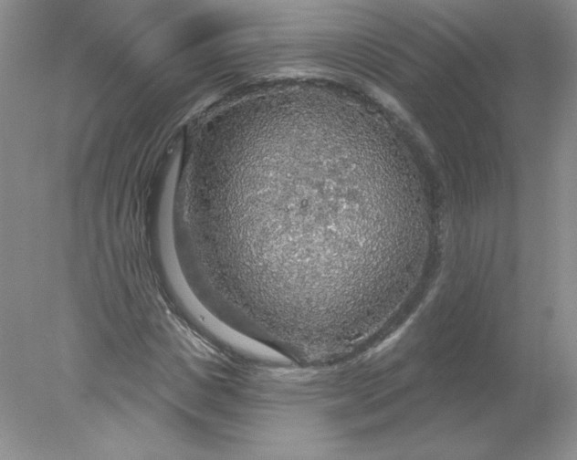X0000078010825200611101818
