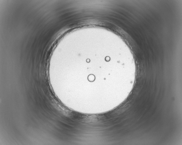 X0000078010828200611101818