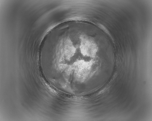 X0000078010831200611101818