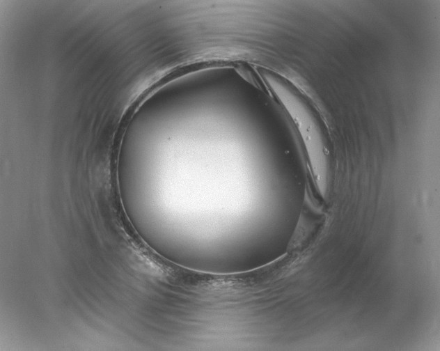 X0000078010834200611101819
