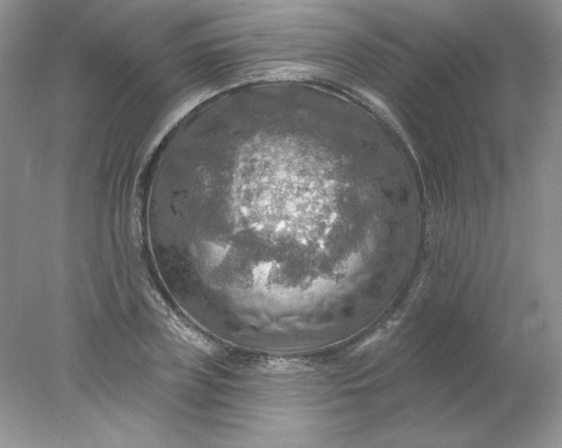 X0000078010835200611101819