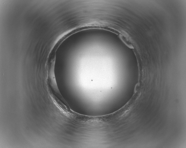 X0000078010838200611101819
