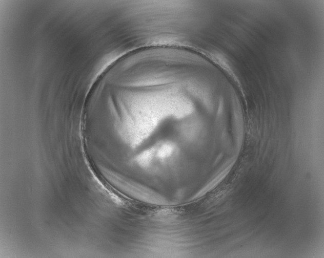 X0000078010847200611101819